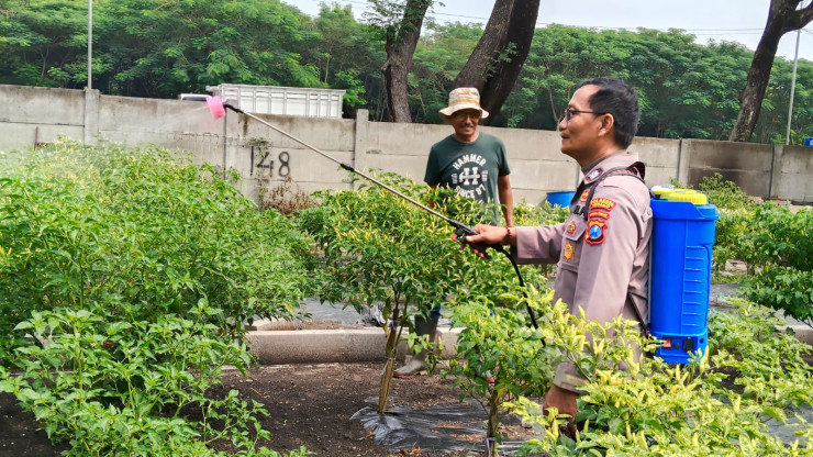 Humanis Jalankan Ketahanan Pangan, Bhabinkamtibmas Bantu Pengelolaan Lahan