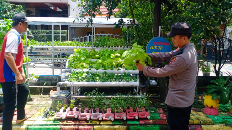 Polisi Apresiasi Warga MCG Kembangkan Sayuran Hidroponik