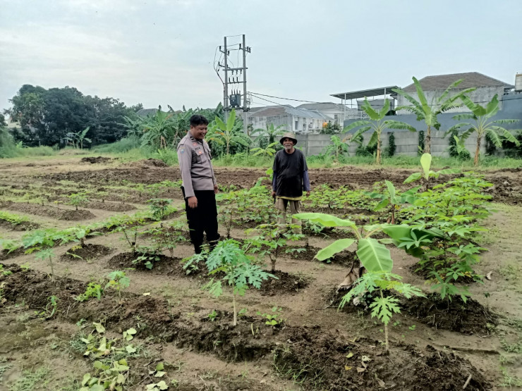 Polisi Cek Lahan Sayur Dukung Ketahanan Pangan