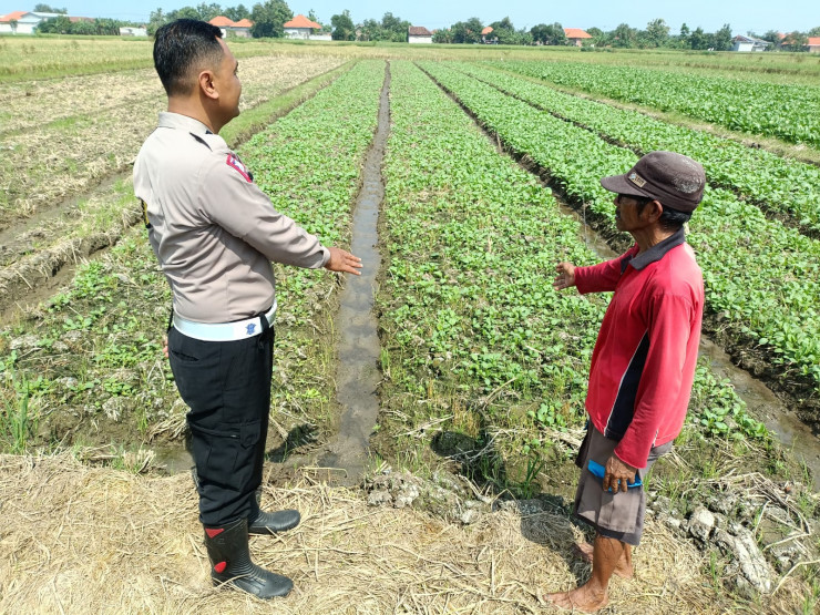 Bhabinkamtibmas Desa Wonokupang Polsek Balongbendo Cek Lahan Ketahanan Pangan